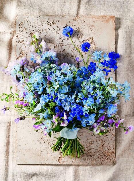 H4Lf-hcikcev5930988.jpg H4Lf-hcikcev5930988.jpg